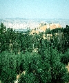 Beth-shean (Joshua 17:11,2 Samuel 21:12) view of mound from W