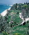 Ashkelon (Zechariah 9:5), view N